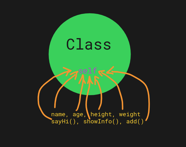 Зеленый круг Class. Внутрь круга, к слову self, ведут стрелки извне, от слов name, age, height, weight, sayHi(), showInfo(), add().